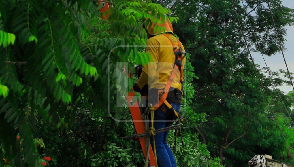 La EEH y la Enee advierten sobre los engaños.