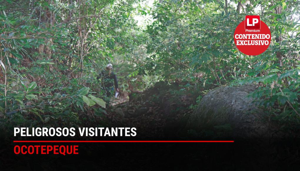 Peligrosos visitantes: Sin seguridad puntos ciegos en Ocotepeque