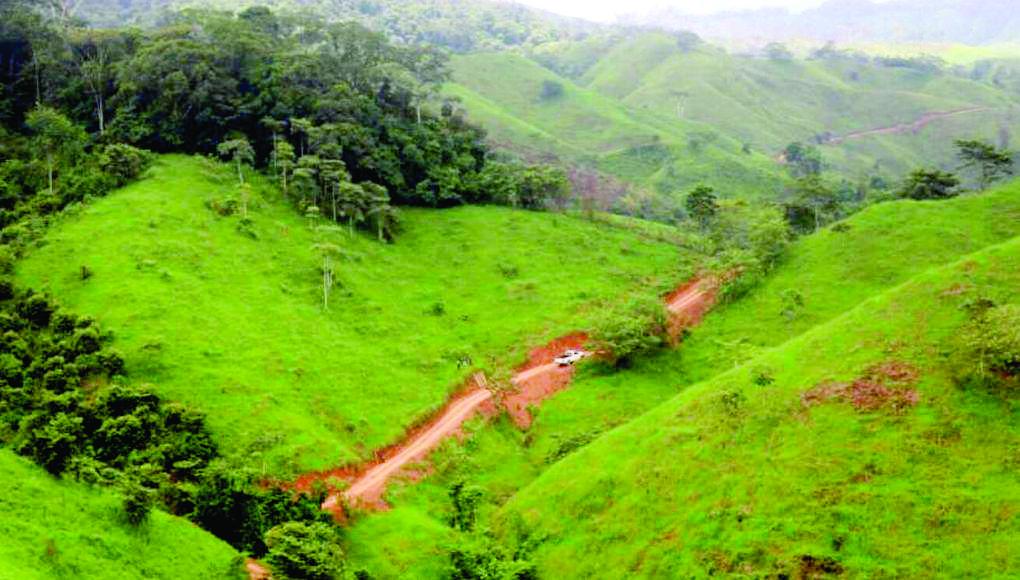 Paralizada investigación sobre “narcocarretera” en La Mosquitia
