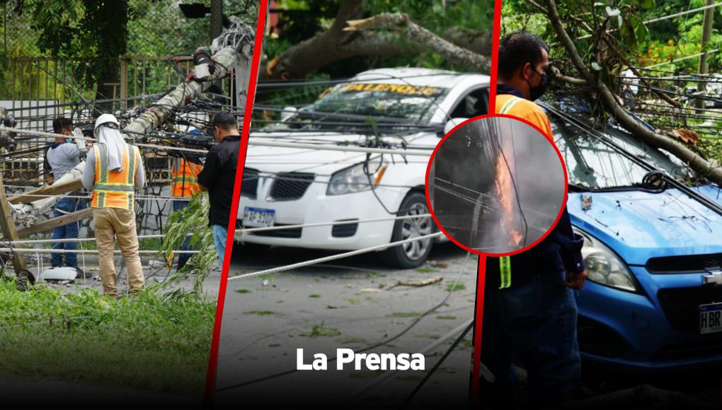 Varios vehículos livianos resultaron dañados por el tendido eléctrico y ramas de un árbol que se desplomó en una colonia de San Pedro Sula este martes.