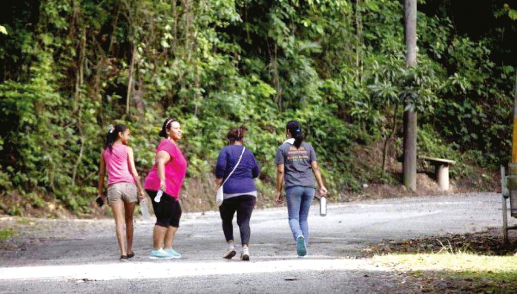 ¿Adónde ir por la mañana y volver casa por la tarde este verano?
