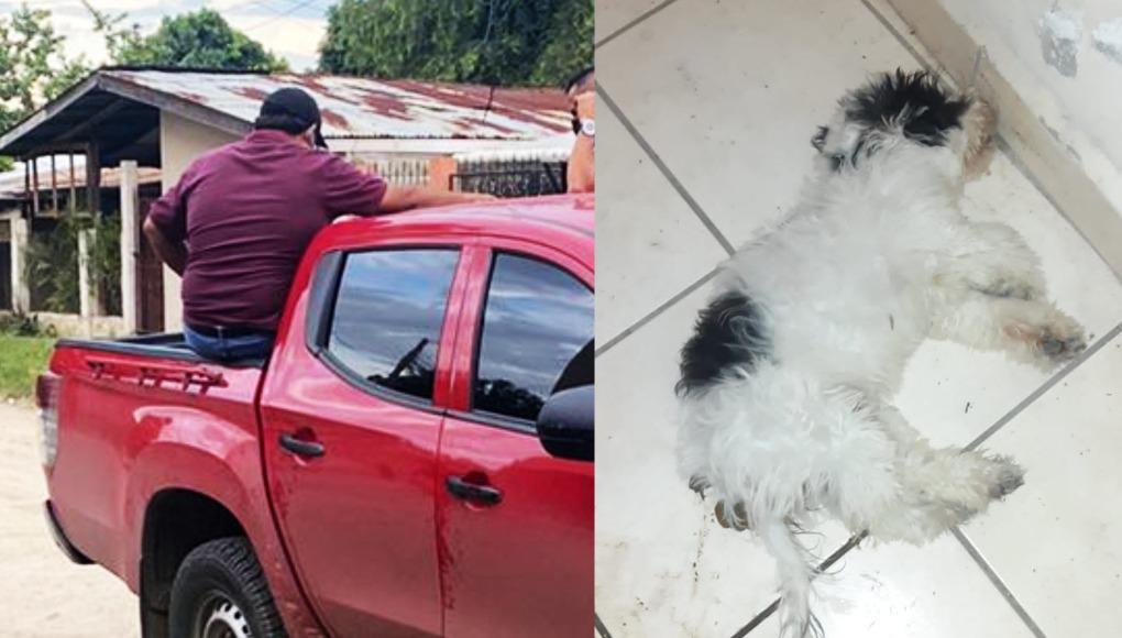 “No dejaba de ladrar”: Revelan por qué hombre mató a perro propiedad de su vecino en San Pedro Sula
