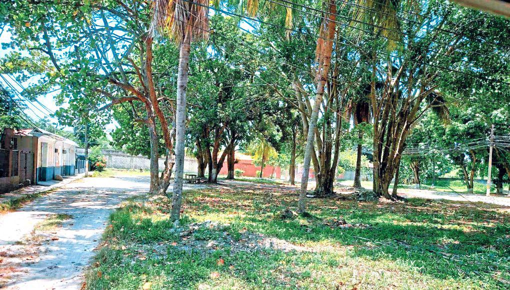 Los directivos de la Fesitranh piden a la municipalidad que se haga cargo del servicio hidrosanitario de la colonia.