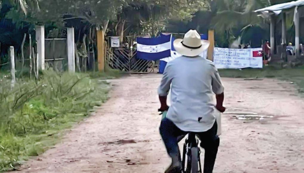 Caos en Colón: Invaden otra finca de palma