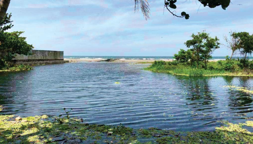 Dueños de terrenos aseguran que no hay daños en Masca