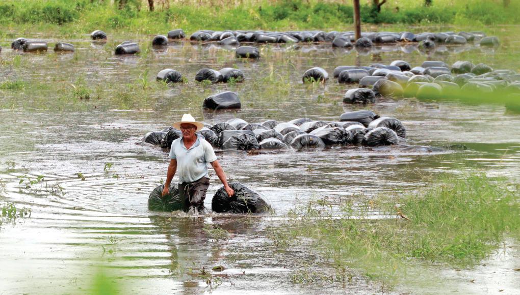 Vuelven a vivir una nueva pesadilla dos años después de que las tormentas tropicales Eta y Iota hicieran estragos en sus casas de habitación y toda la localidad.