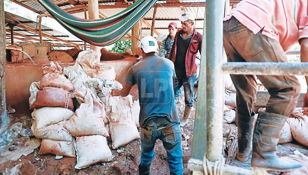 El área aprovechada por esta empresa comunal lo explotó durante varias décadas Geomaque.