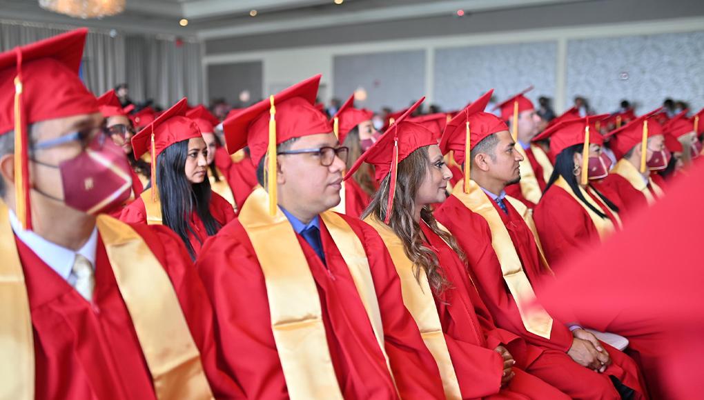 UTH Florida University, la universidad en línea que te acompaña siempre