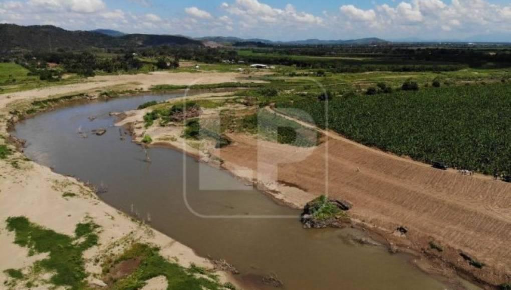Hay al menos L 200 millones para reparar bordos en Valle de Sula, según Netzer Mejía