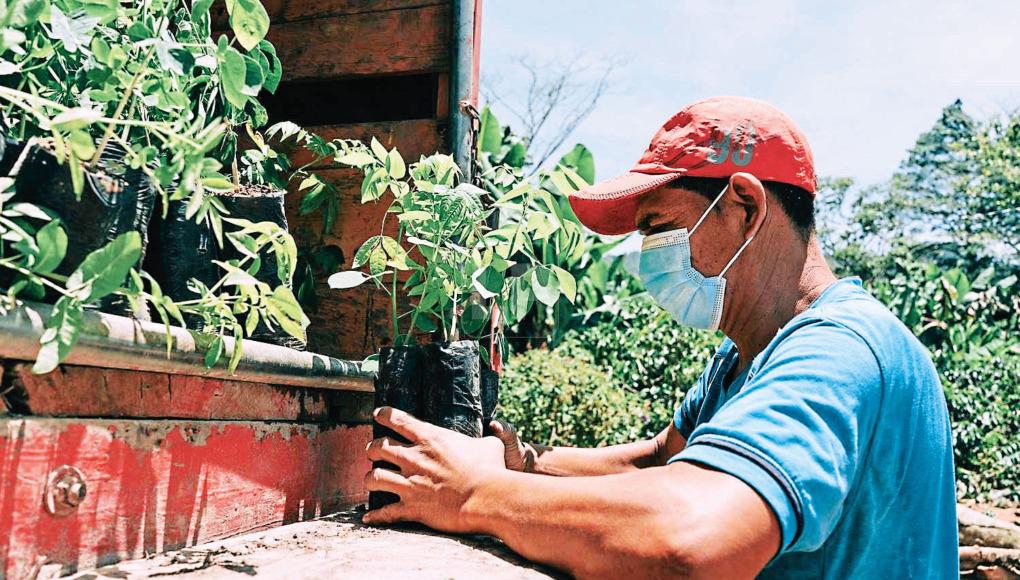 Su ejecución será en cinco años.