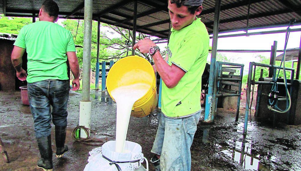 Vuelven las tomas por desacuerdo entre ganaderos y procesadores