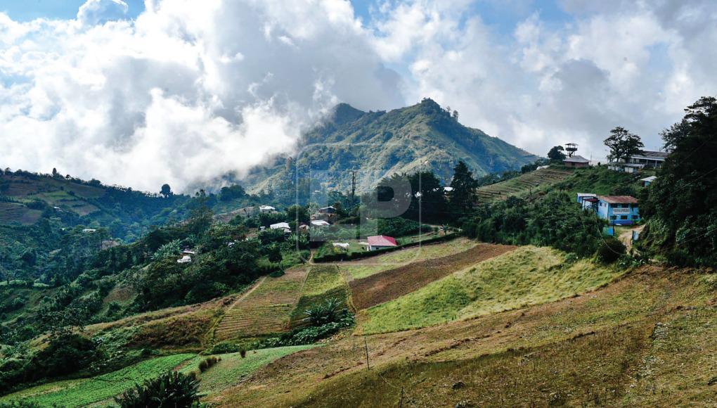 Destinan L5 millones para calles en el Merendón