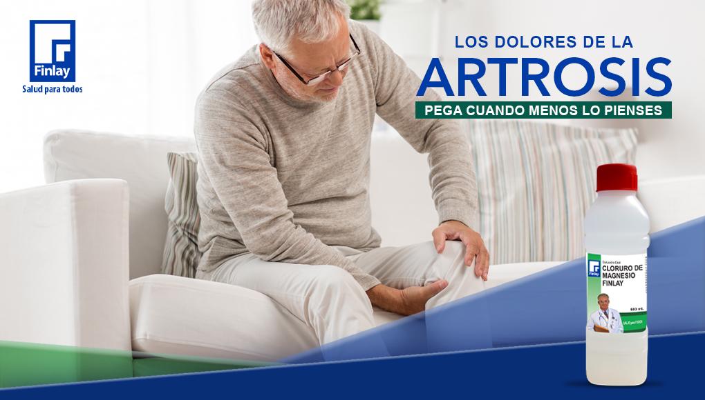 ¿Cuáles son los beneficios del Cloruro de Magnesio para tu salud?