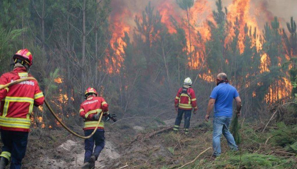 La contaminación por incendios forestales afecta más a personas de escasos recursos