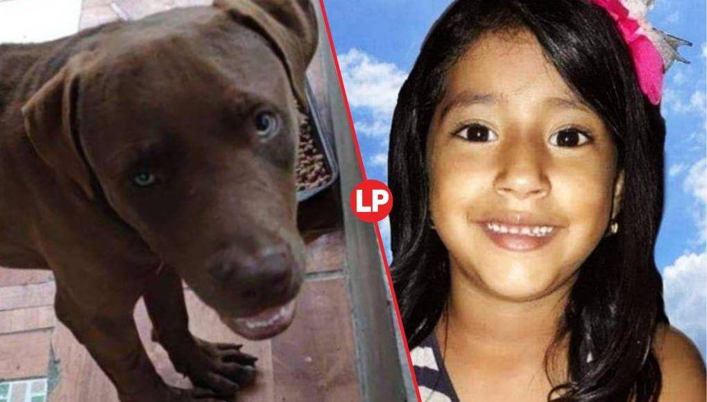 Odontólogo forense y psicólogo canino investigarán muerte de niña en Lempira