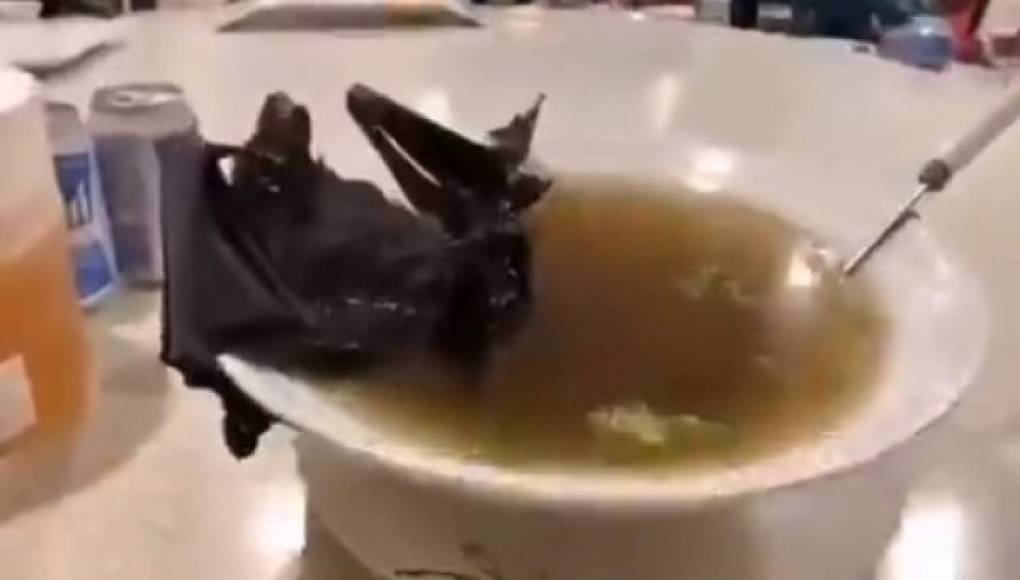 La sopa de murciélago es relacionada con el coronavirus en China