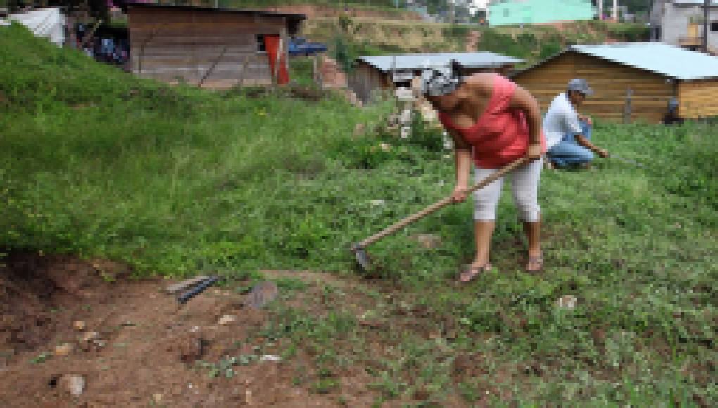 Cepal: Honduras registra mayor pobreza de América Latina