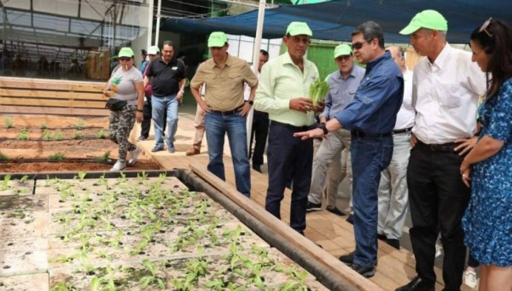 Honduras e Israel firmarán convenio en materia de agricultura