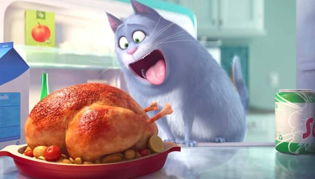 Descubre qué piensan las mascotas