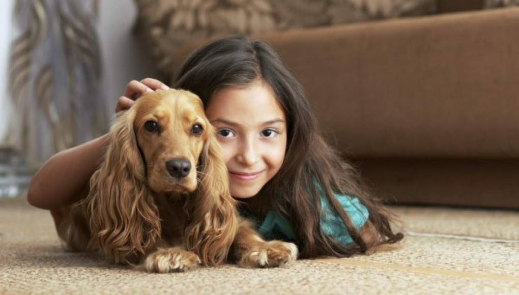 Las mascotas puede ayudar a fomentar las habilidades sociales de los niños autistas
