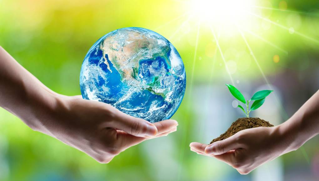 Educación ambiental: 10 pasos para cuidar el planeta