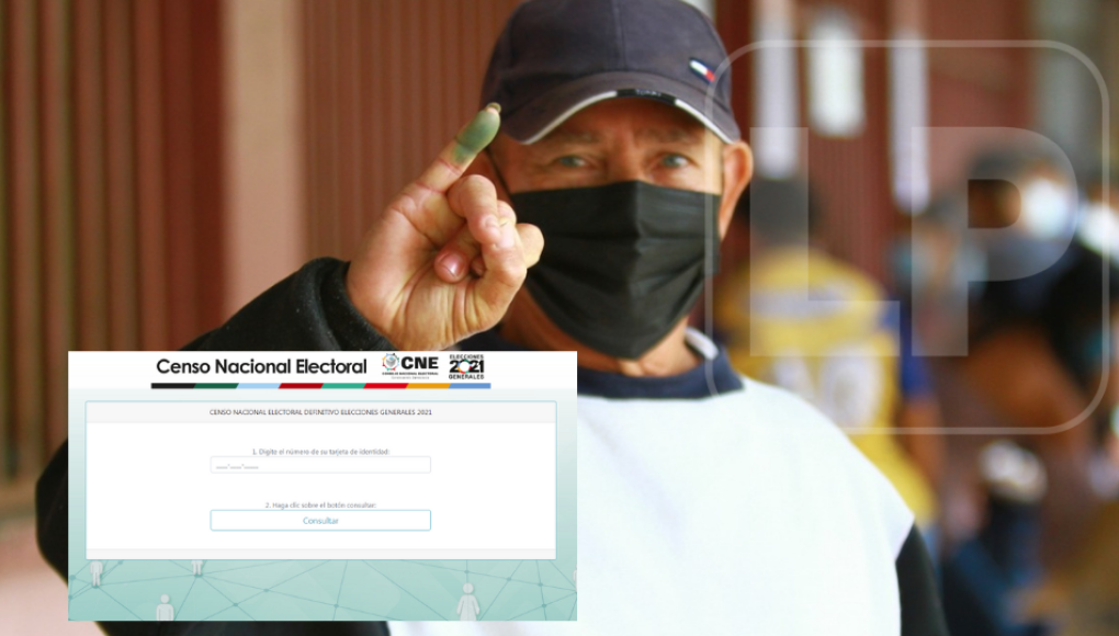 CNE investiga caída de página web de censo electoral