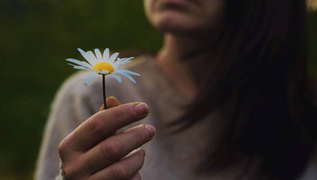 Energía = resiliencia = coherencia