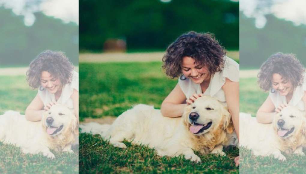 Trucos para educar tu perro