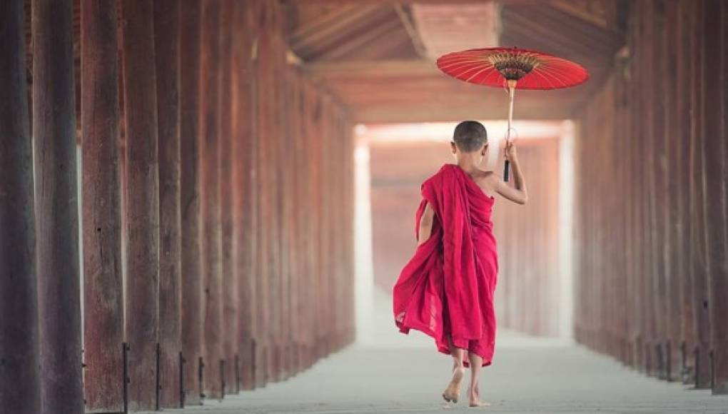 La sabiduría del camino medio &nbsp;&nbsp;