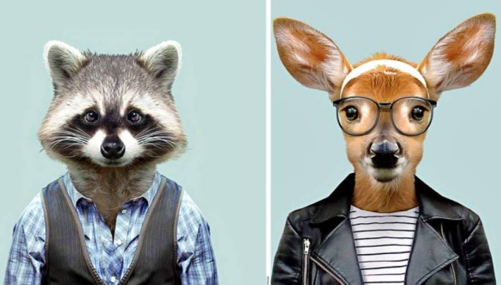 'Zoo Portraits”, un proyecto fashion en favor de los animales