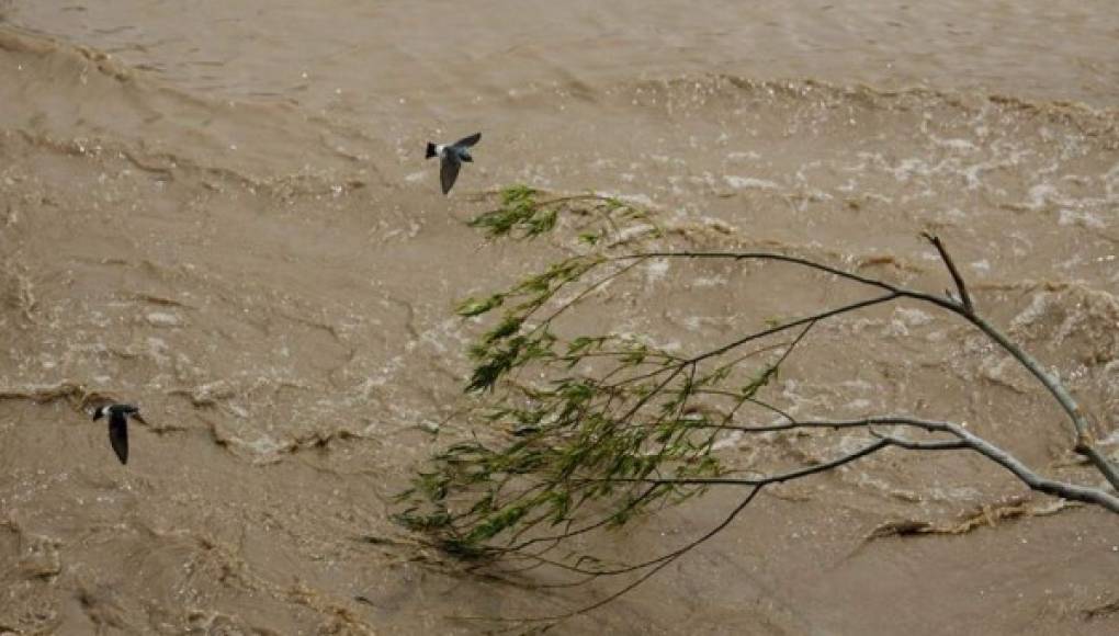Honduras y Guatemala buscan contrarrestar contaminación del río Motagua   