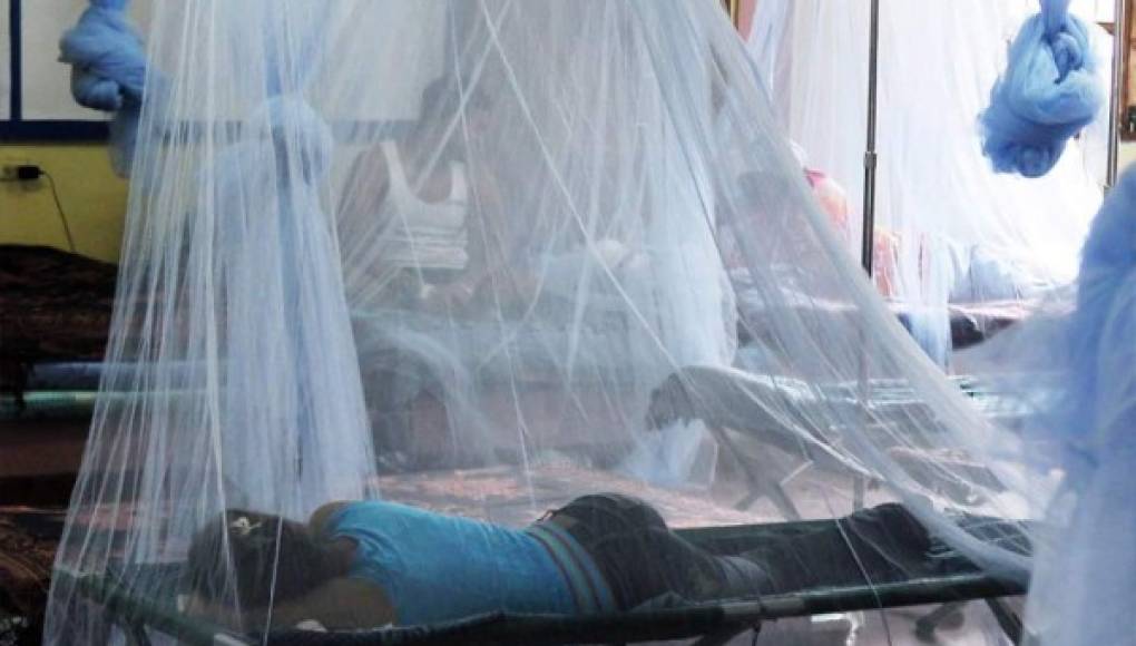 Sube a 144 la cifra de muertes por dengue grave en Honduras