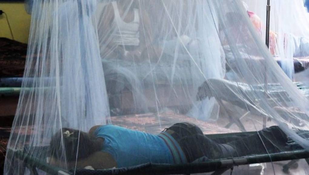 Taiwán aporta a Honduras 2 millones de dólares para la emergencia por dengue
