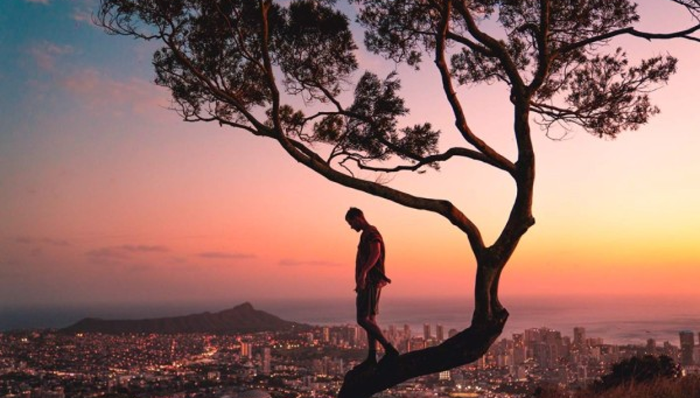 Salir al ruedo con dignidad