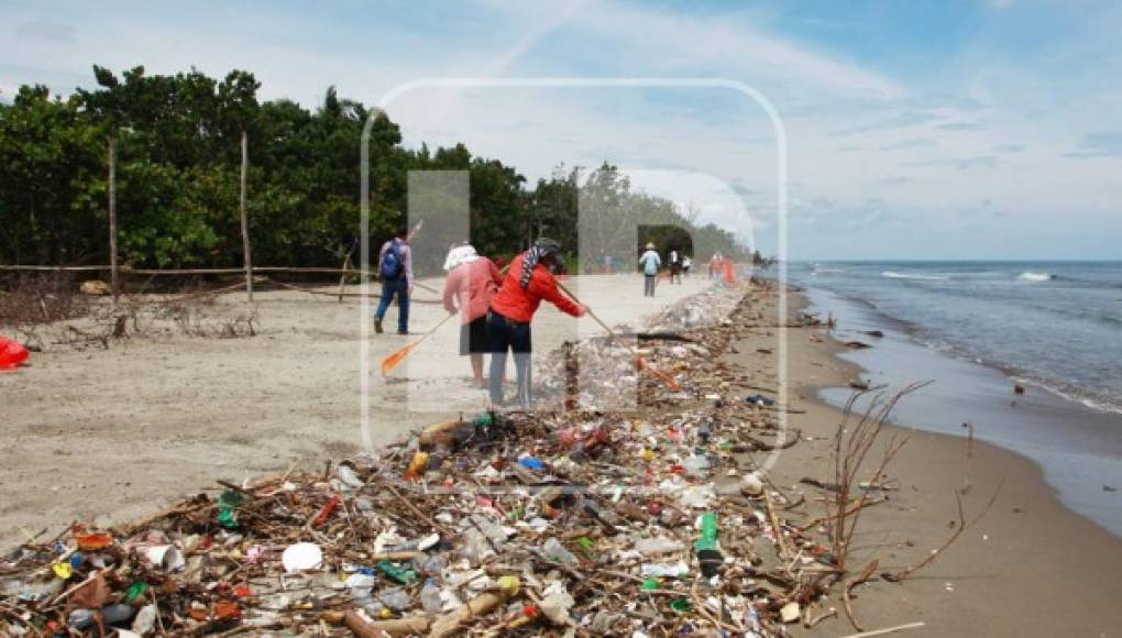 Extraen unas 700 toneladas de basura de playas de Omoa