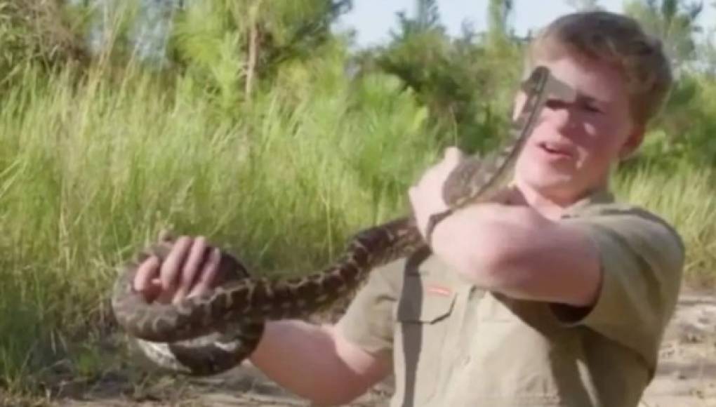 Impactante video: Pitón muerde al hijo de Steve Irwin en la cara