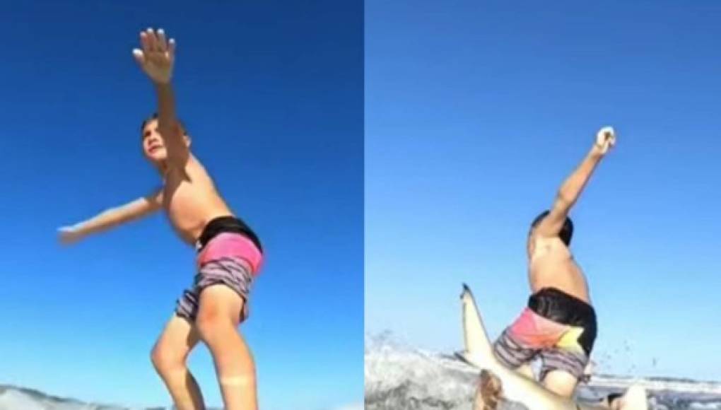 Video viral: Tiburón empuja a niño mientras practicaba surf en Florida