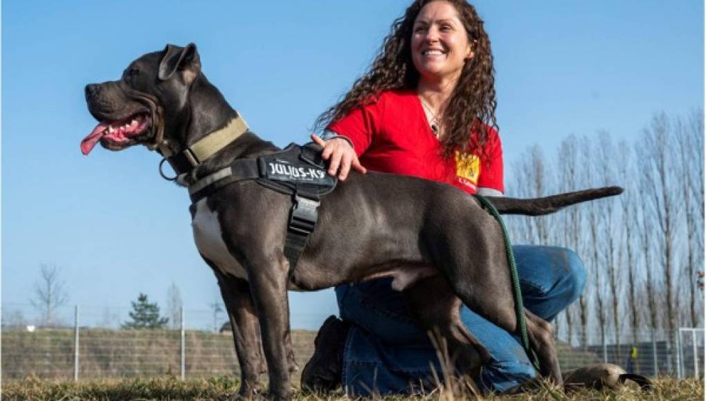 Las mascotas ayudan a los alemanes a sobrellevar la pandemia