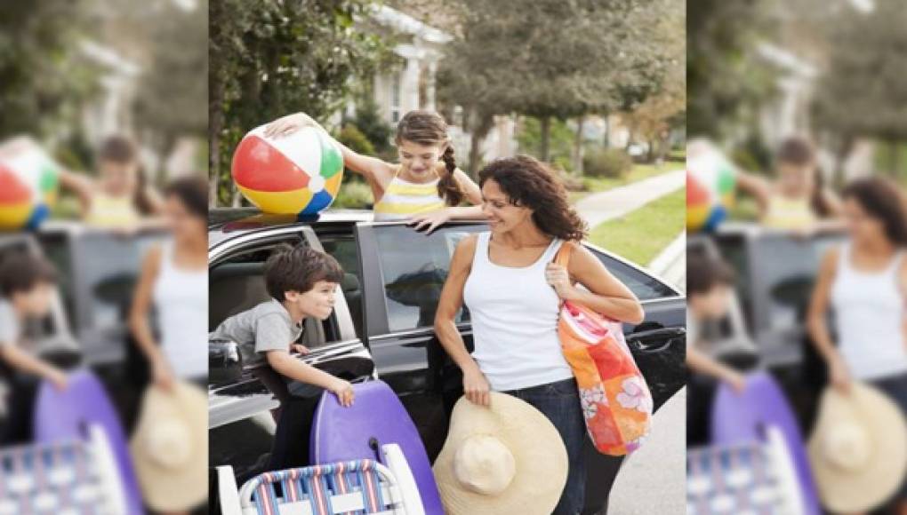 Medidas para disfrutar tus paseos sin percances