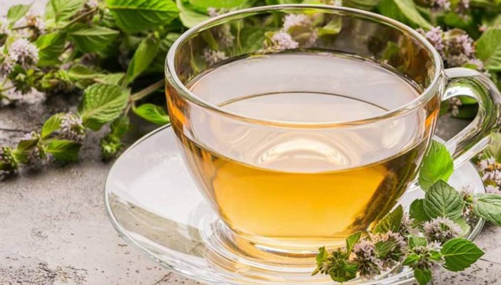 El té de melisa, una planta medicinal que ayuda a relajarte