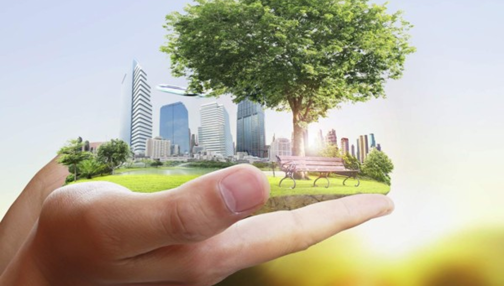 Con 5 acciones ayudas al planeta