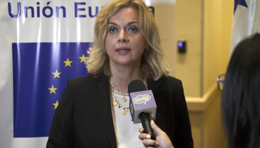 Jefa de la MOE UE concluye visita y pide respetar resultados de elecciones