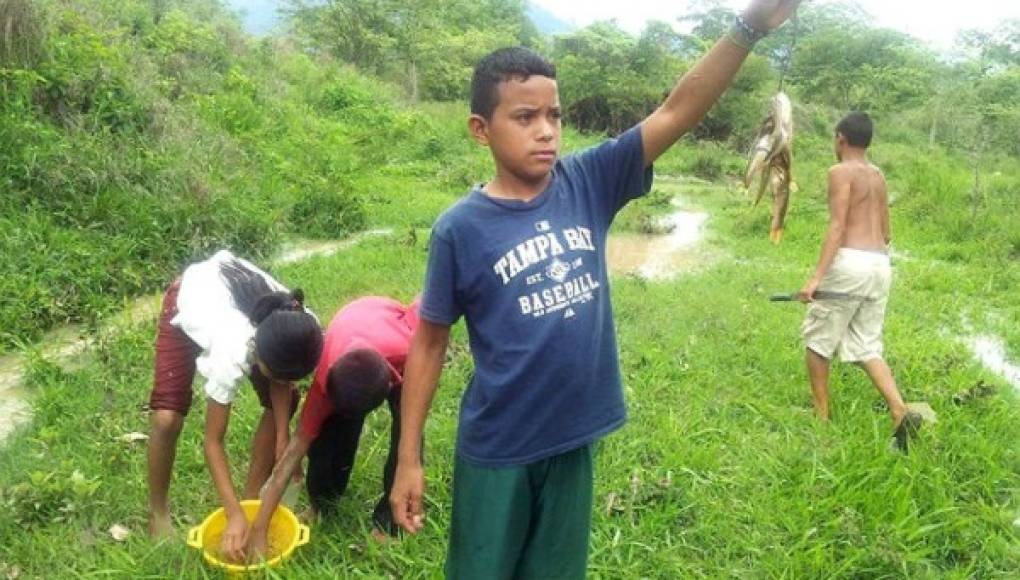 Honduras: Así fue la 'Lluvia de Peces' en Victoria, Yoro