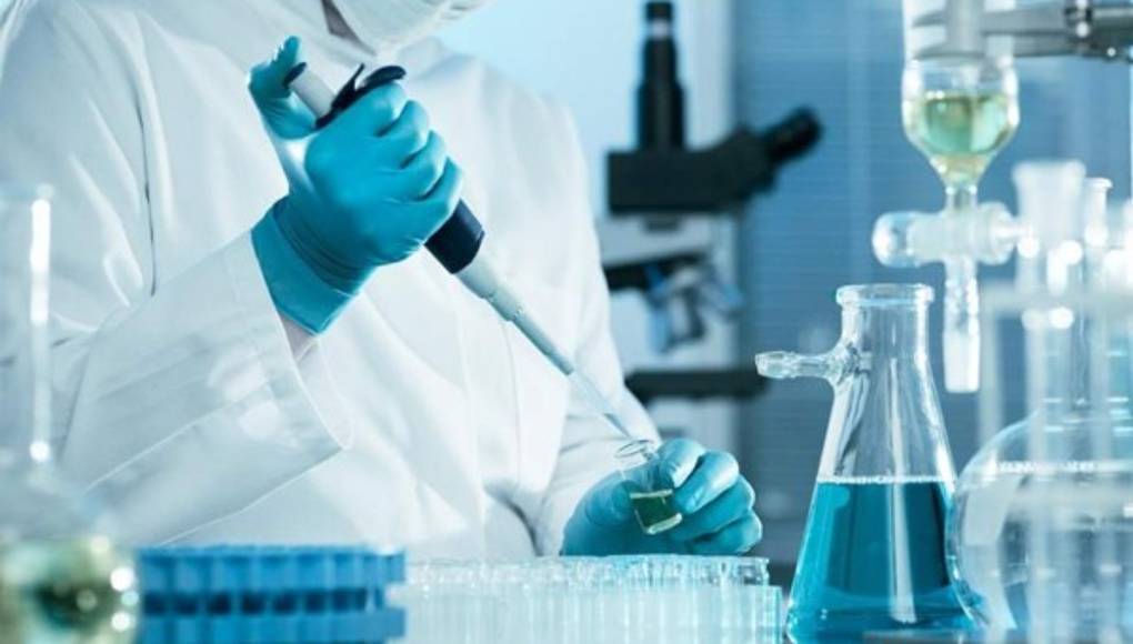 Desarrollan anticuerpo que puede prevenir ciertos tipos de neurodegeneración