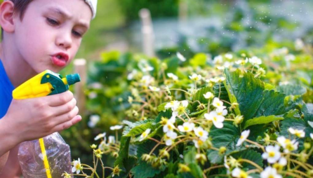 Insecticidas afectan la conducta de los niños