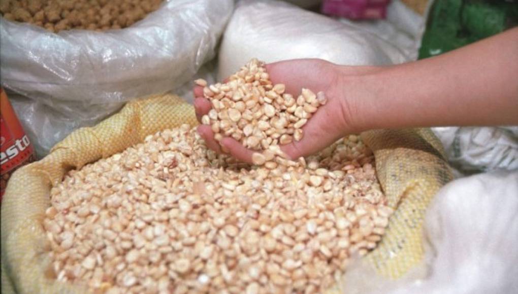 Importación de maíz ascenderá a más de 19,000 toneladas