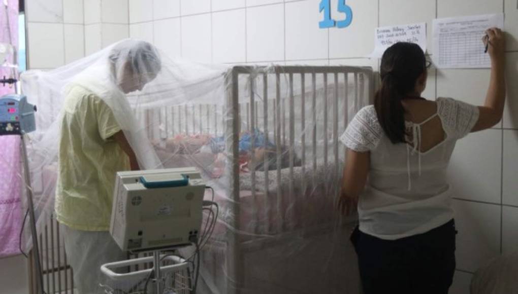Honduras cerró 2020 con nueve muertos por dengue grave