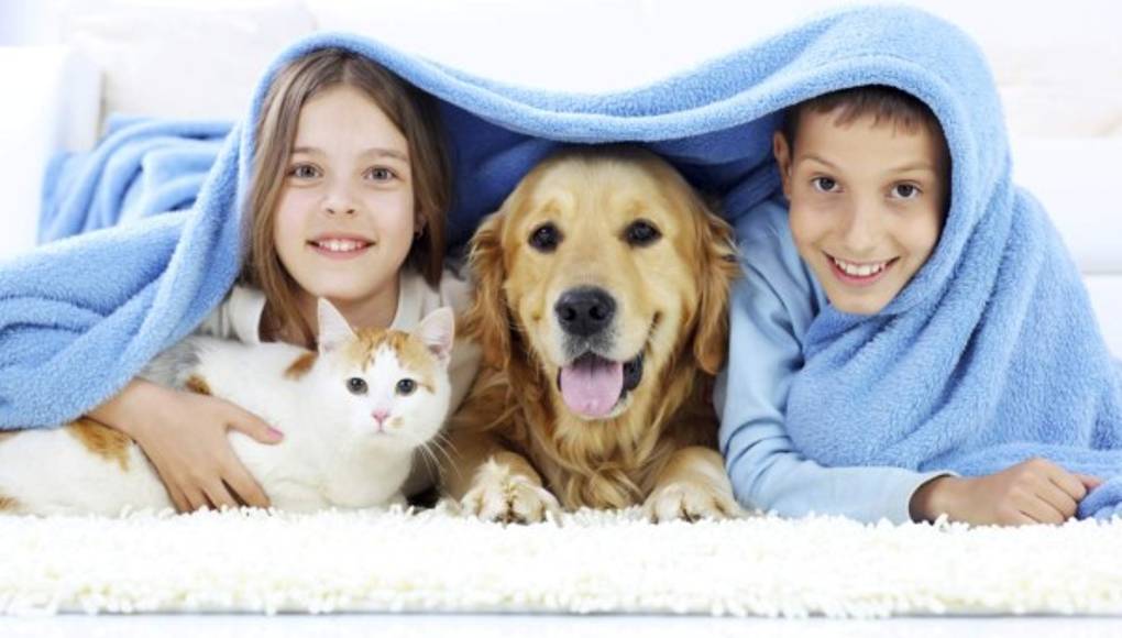 Las mascotas ayudan a los niños a querer a los demás