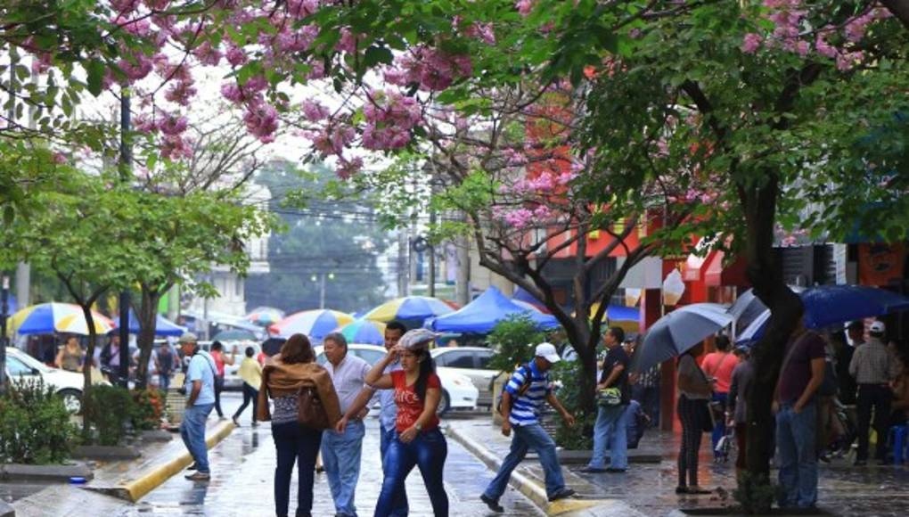 temperatura actual en san pedro