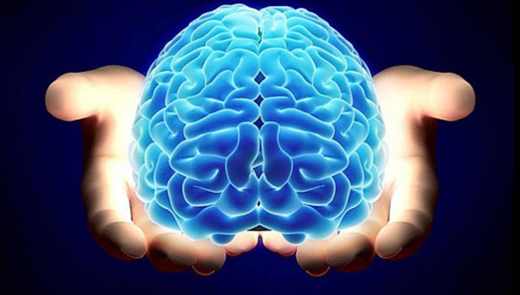 La enfermedad cardiaca y el Alzheimer están vinculados por factores de riesgo en común